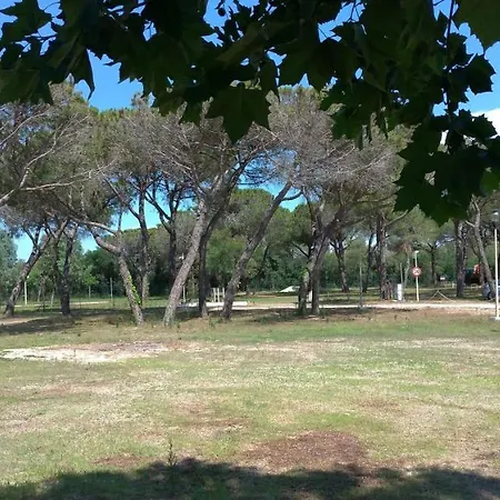 Camping Olympus