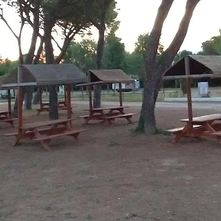 Olympus Metaponto